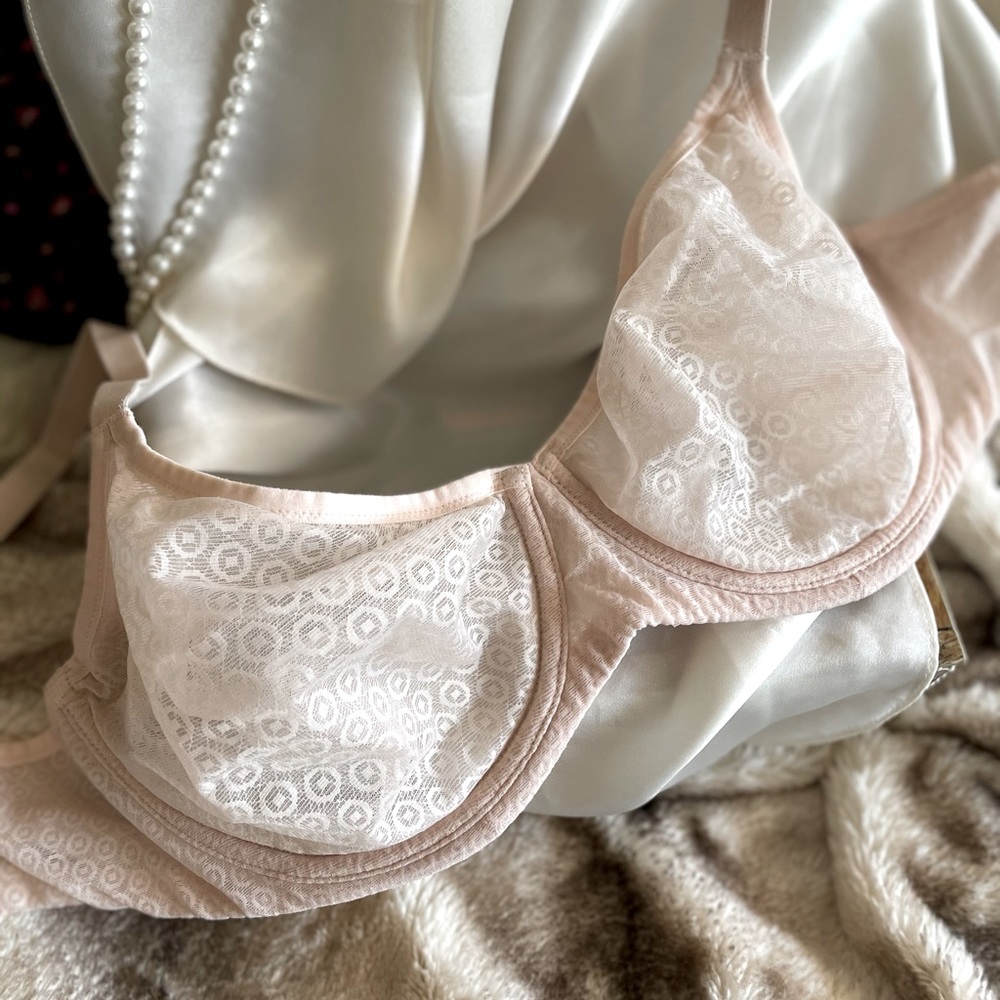 NWOT Body by Victoria Sheer Shimmer Demi Bra 34DDD